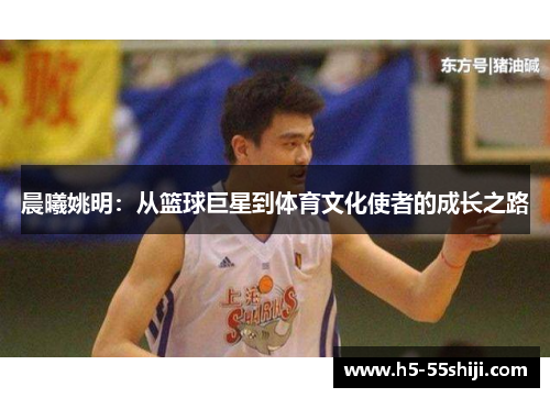 晨曦姚明：从篮球巨星到体育文化使者的成长之路