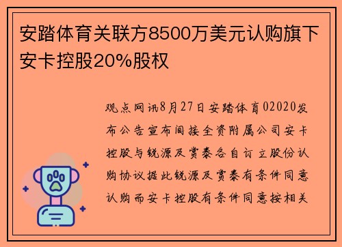 安踏体育关联方8500万美元认购旗下安卡控股20%股权